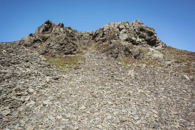 Dodd (Hope Farm)