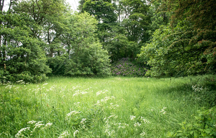Former 17th H'pools site, Raby