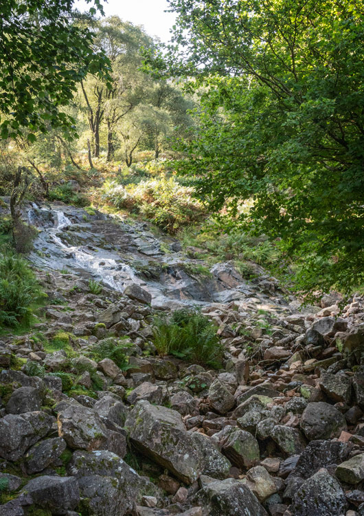 Sourmilk Gill