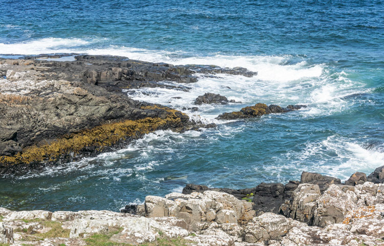 S. of Craster