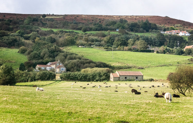 Robin Hood's Bay
