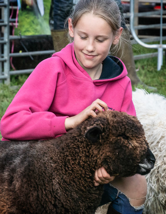 Loweswater Show