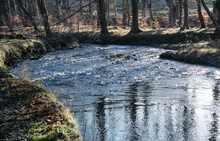 Wallington