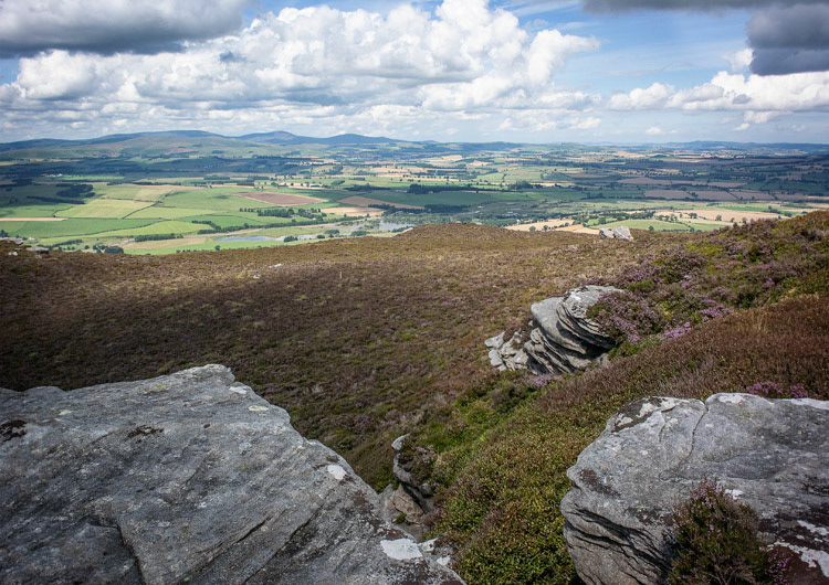 Tosson Hill