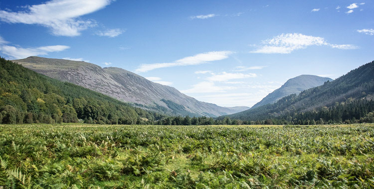 Ennerdale