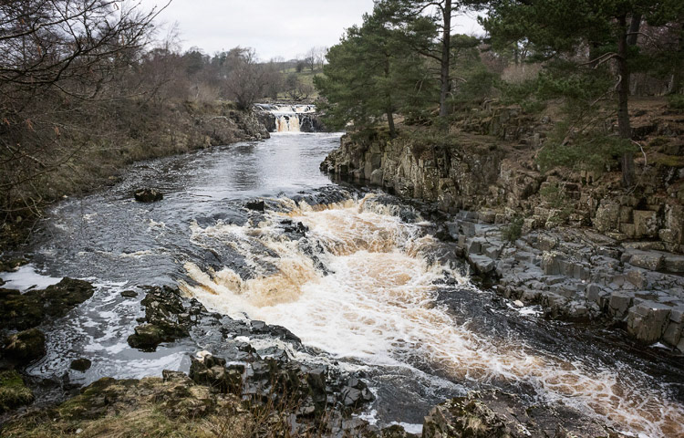 Low Force