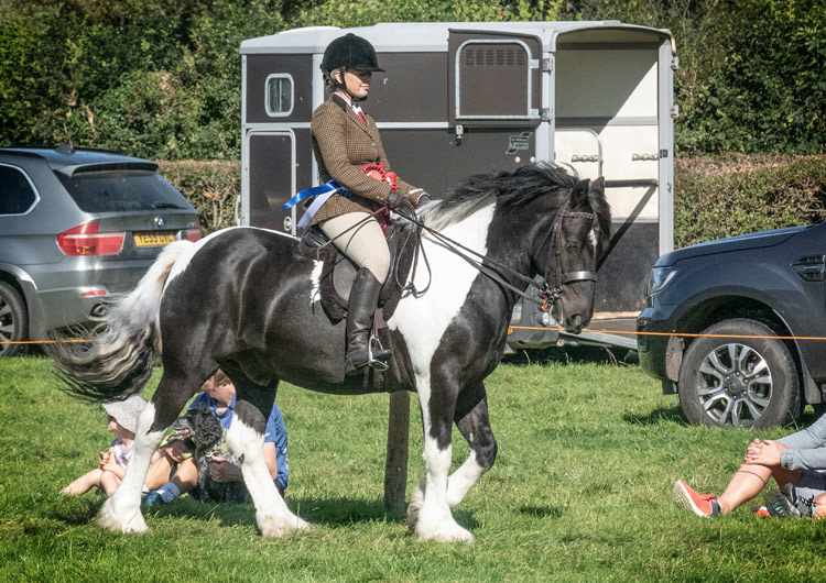 Loweswater Show
