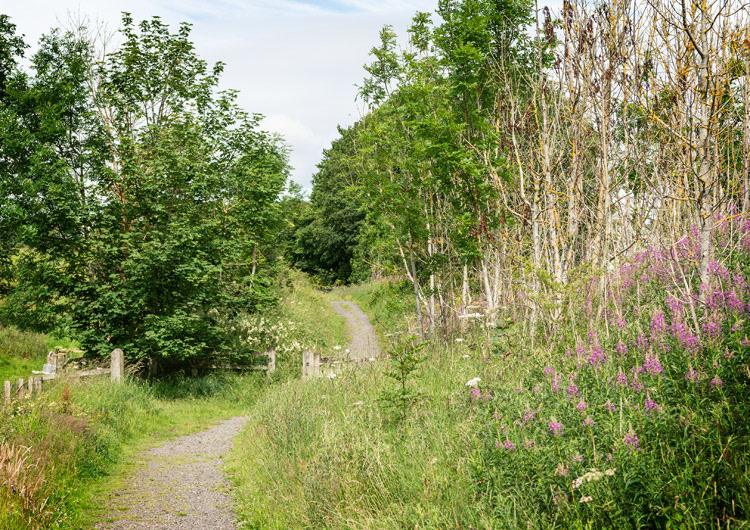 Tees Railway Walk W. from Romaldkirk W at 976 231