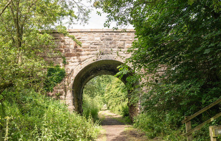 Tees Railway Walk W. from Romaldkirk 964236
