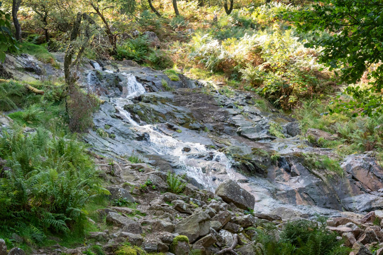 Sourmilk Gill