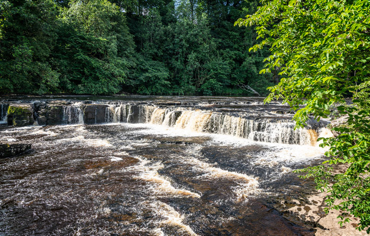 Aysgarth Upper Falls
