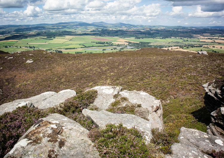 Tosson Hill