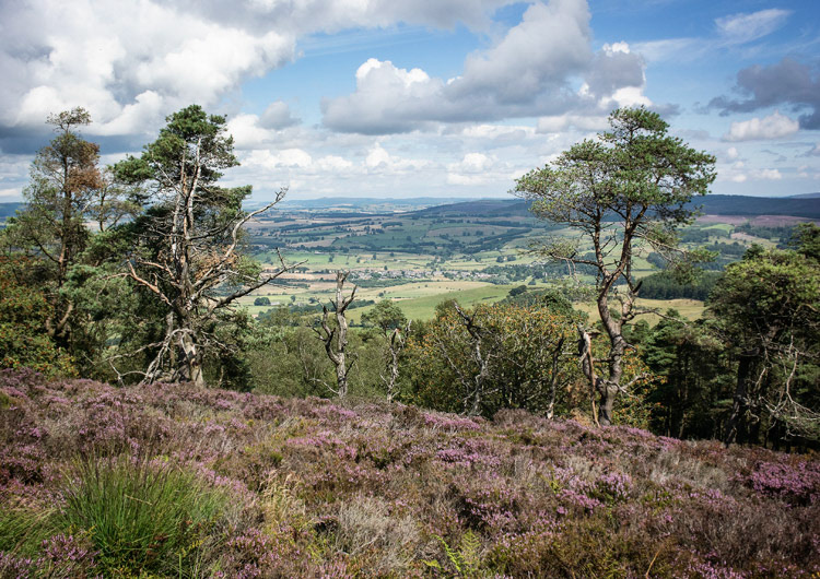 North from 017989
