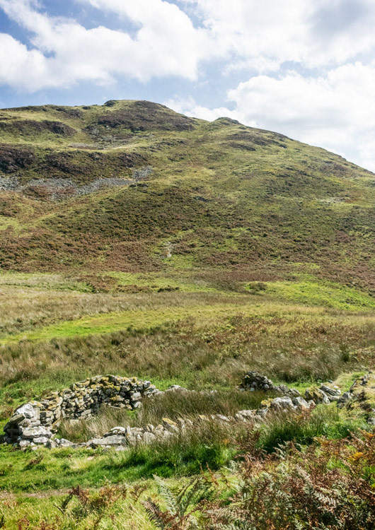 Low Fell