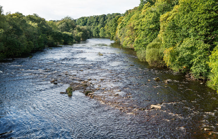 Whorlton Bridge