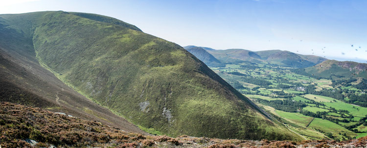 Dodd (Hope Farm)