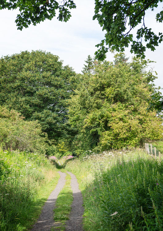 Tees Railway Walk W. from Romaldkirk W at 974 231
