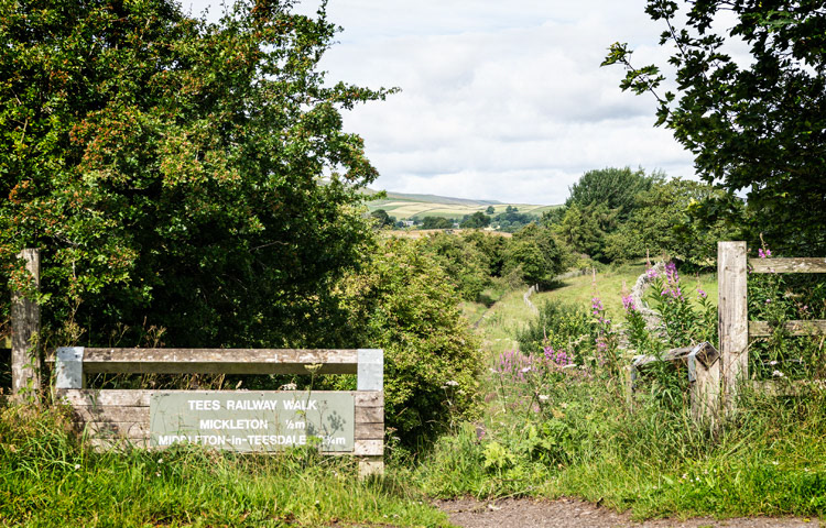 Tees Railway Walk W. from Romaldkirk 971233