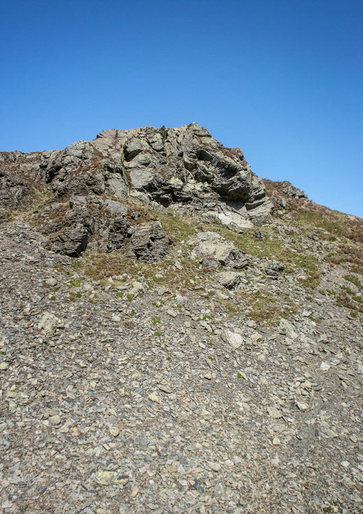 Dodd (Hope Farm)