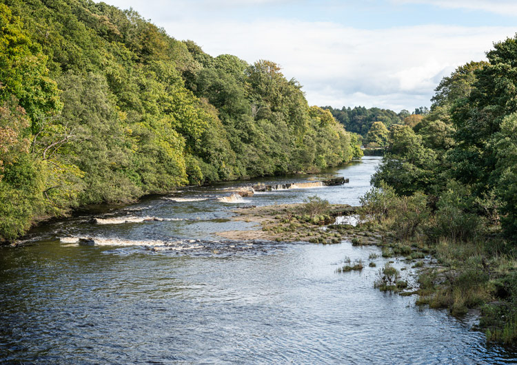 Whorlton Bridge