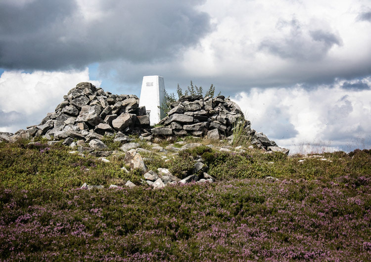 Tosson Hill
