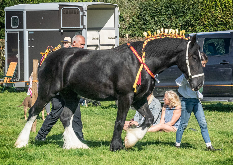 Loweswater Show