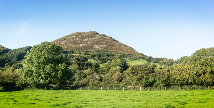 Low Fell