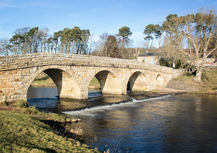 Pauperhaugh