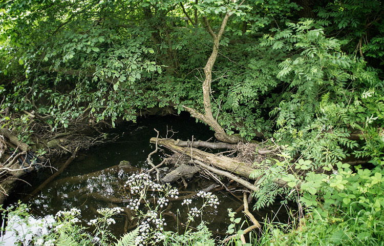 Former 17th H'pools site, Raby