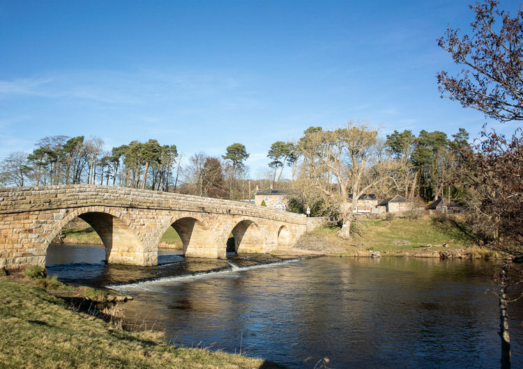 Pauperhaugh