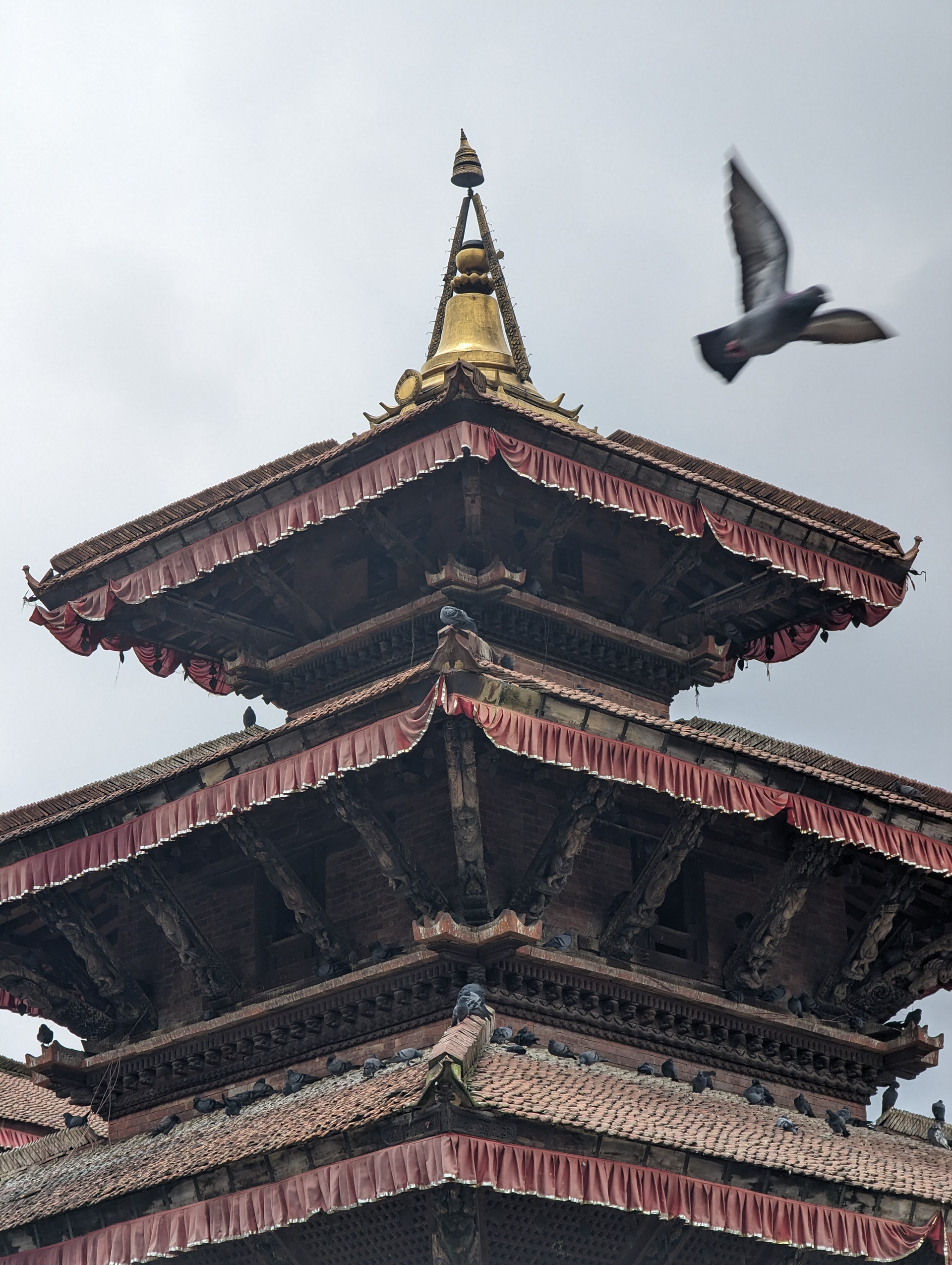 Basantapur Area