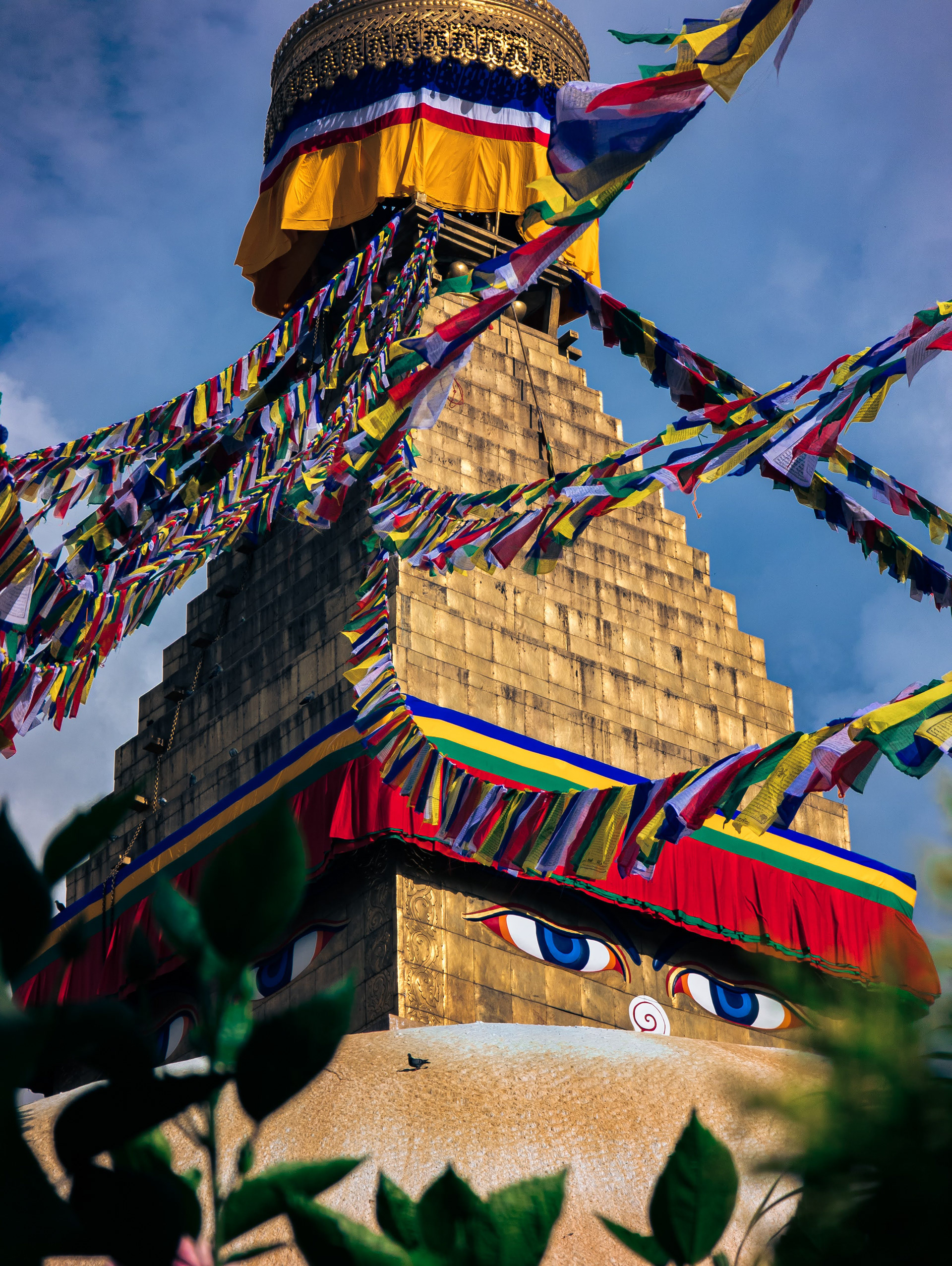Bouddha
