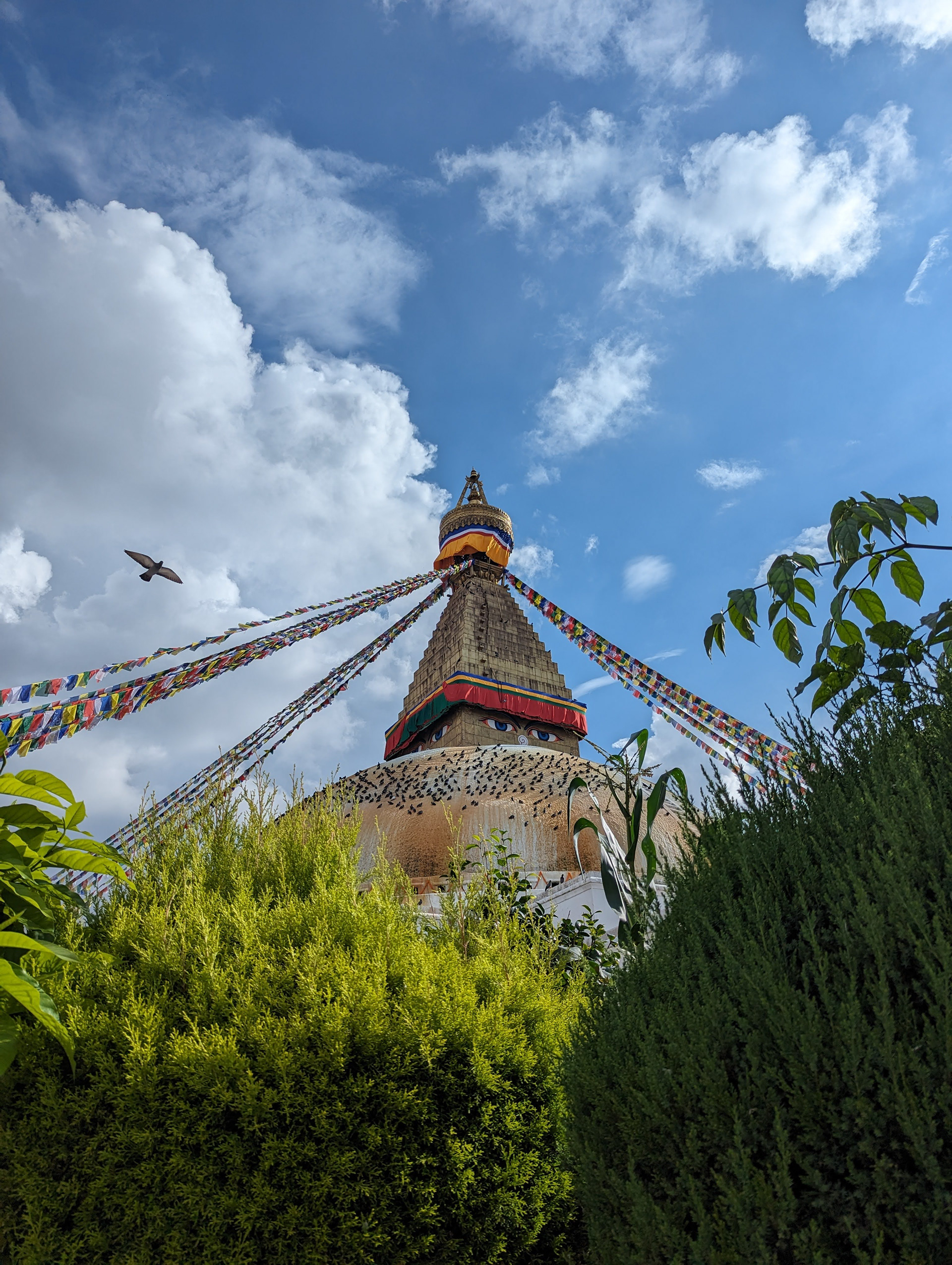 Bouddha