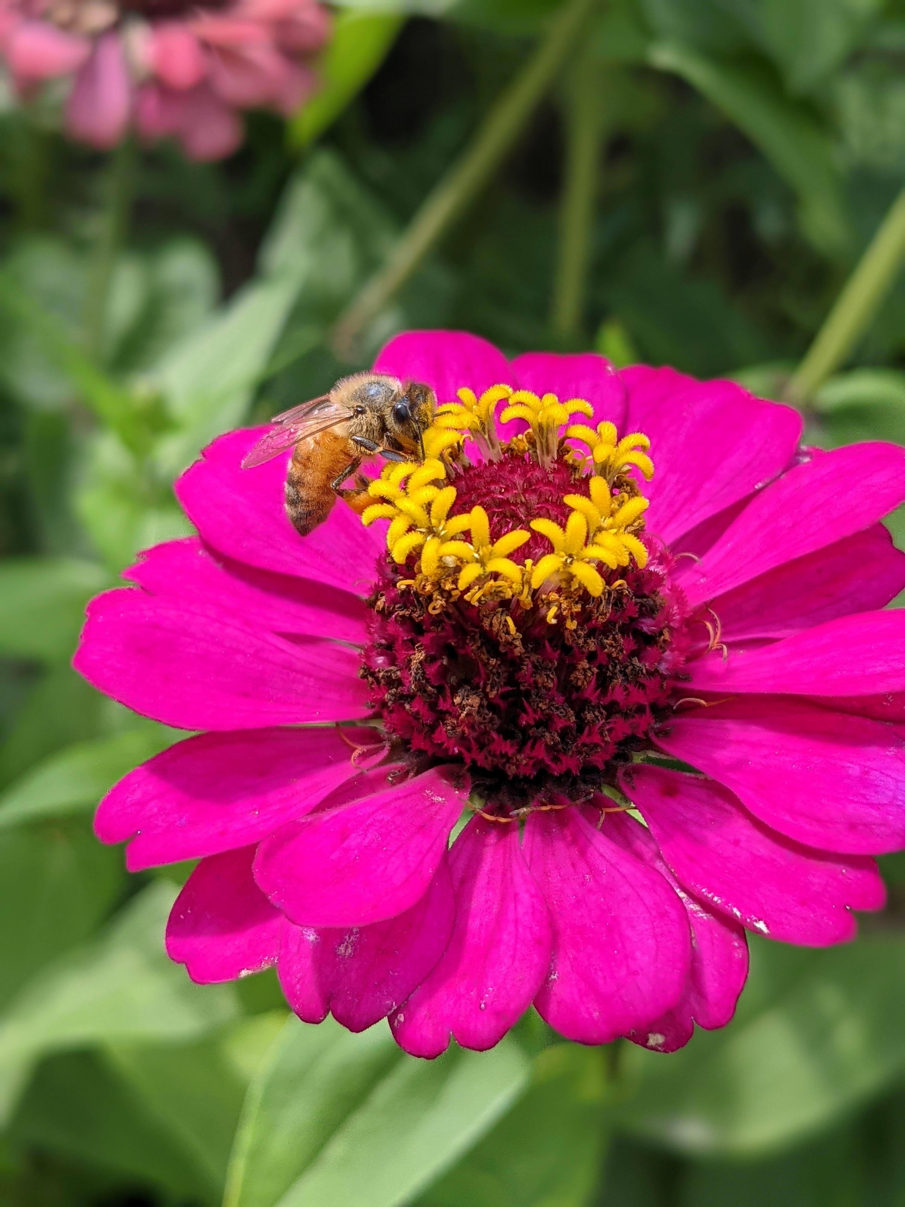 Macro shot