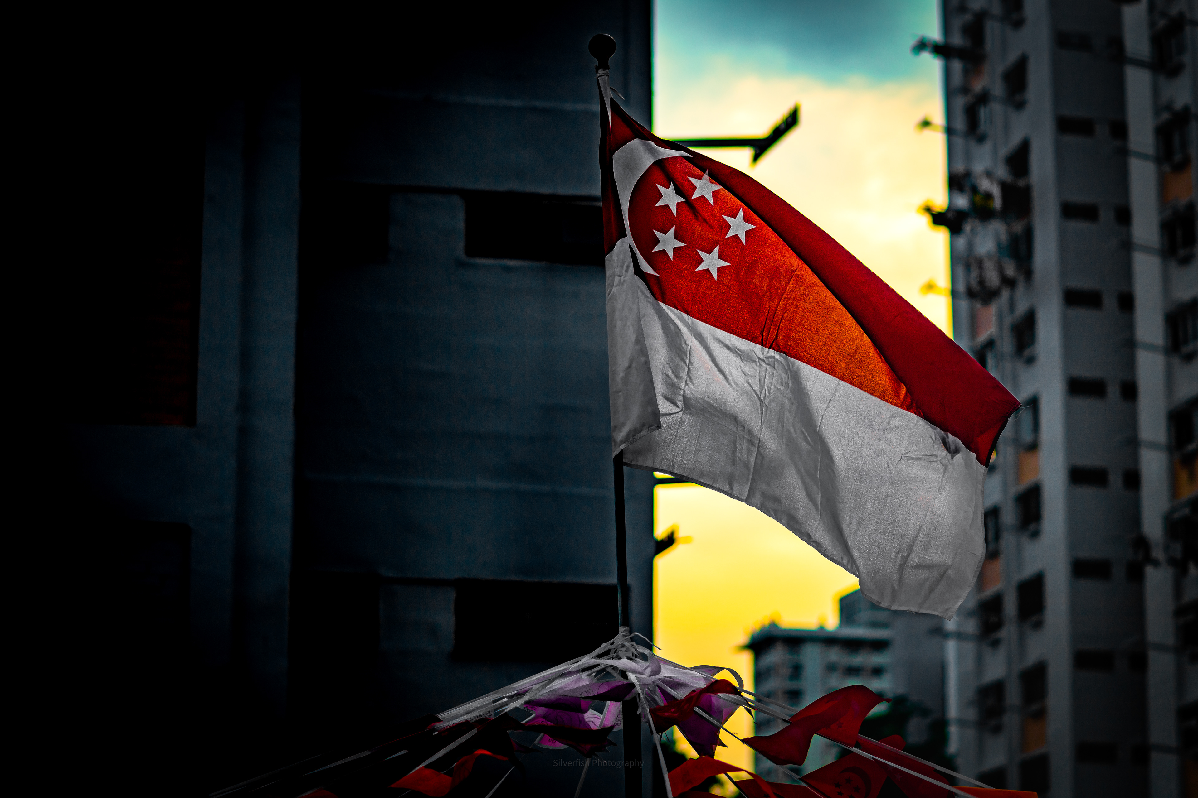 Happy Freedom day Singapore 2021