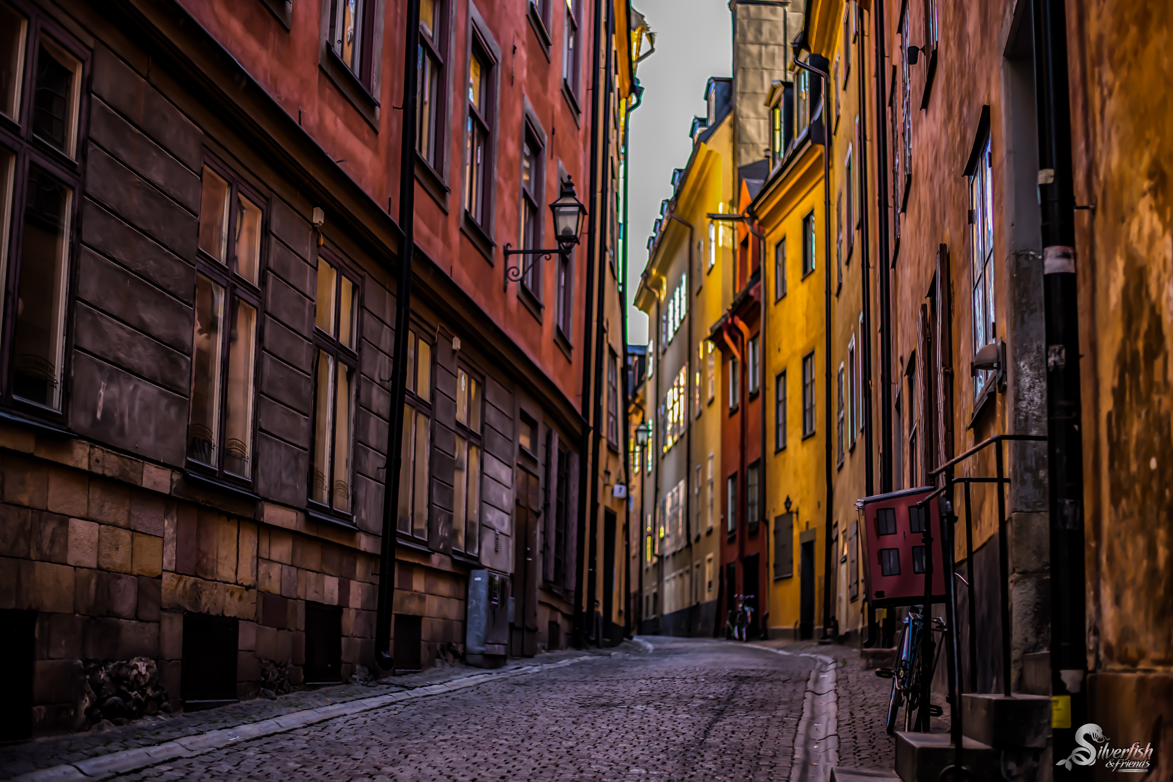 grandma's old bicycle 