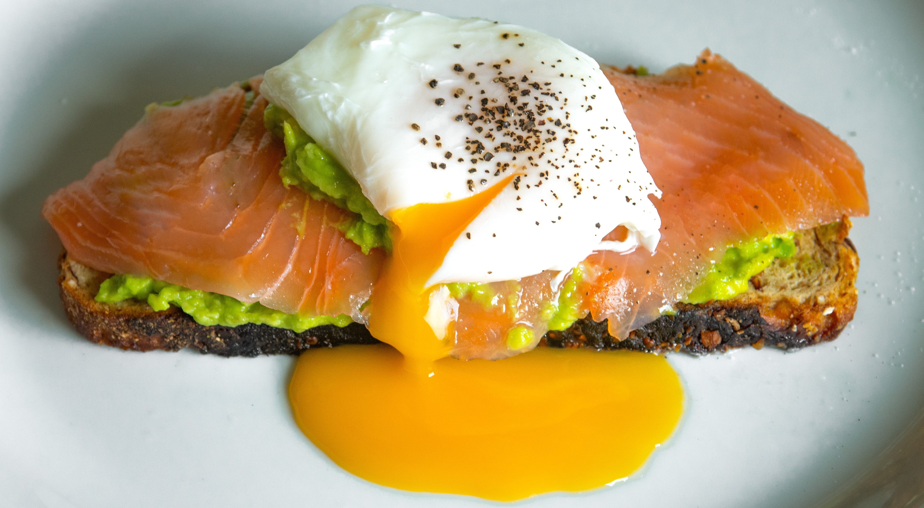 Salmon Avocado