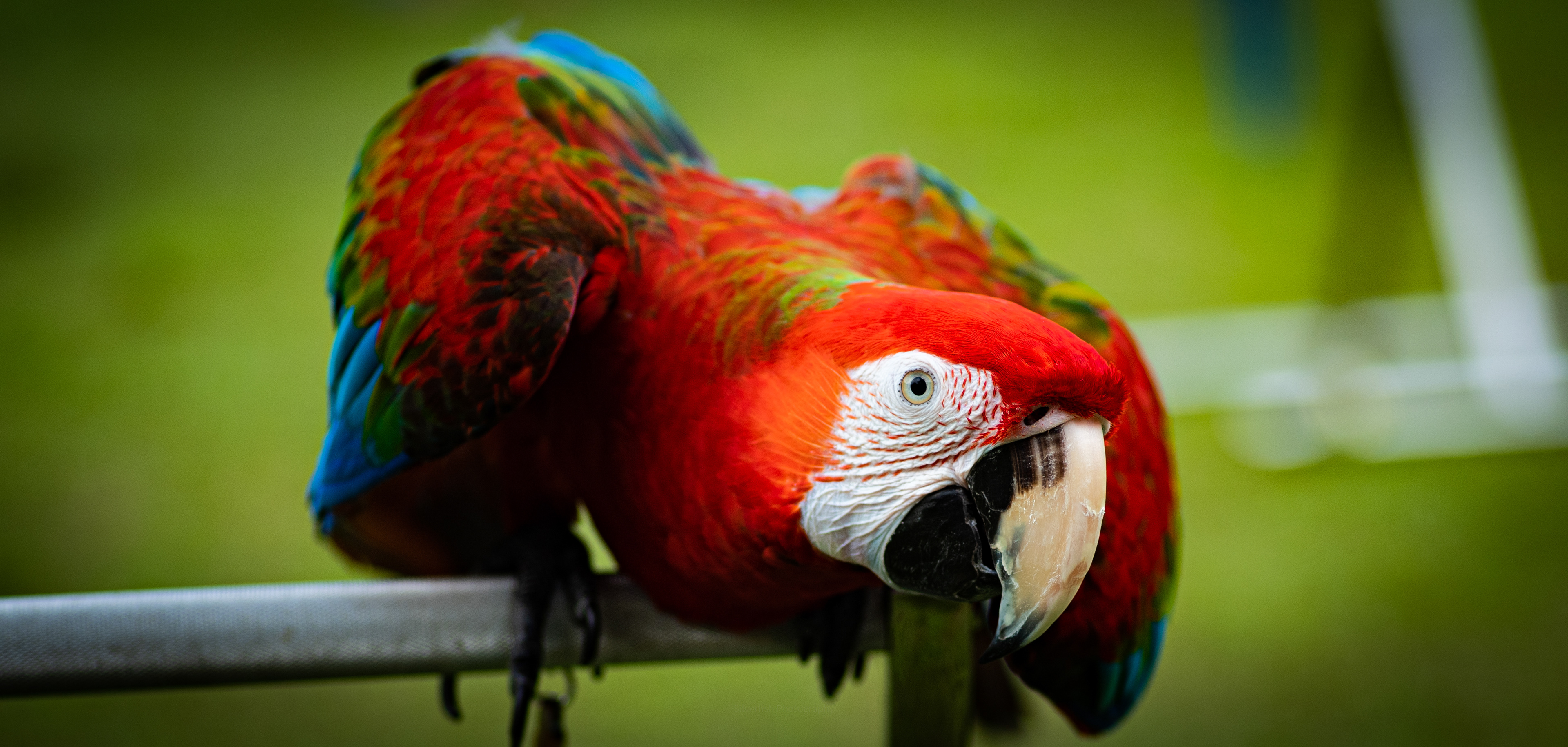 sometimes its a matter of saying hello, its so simple