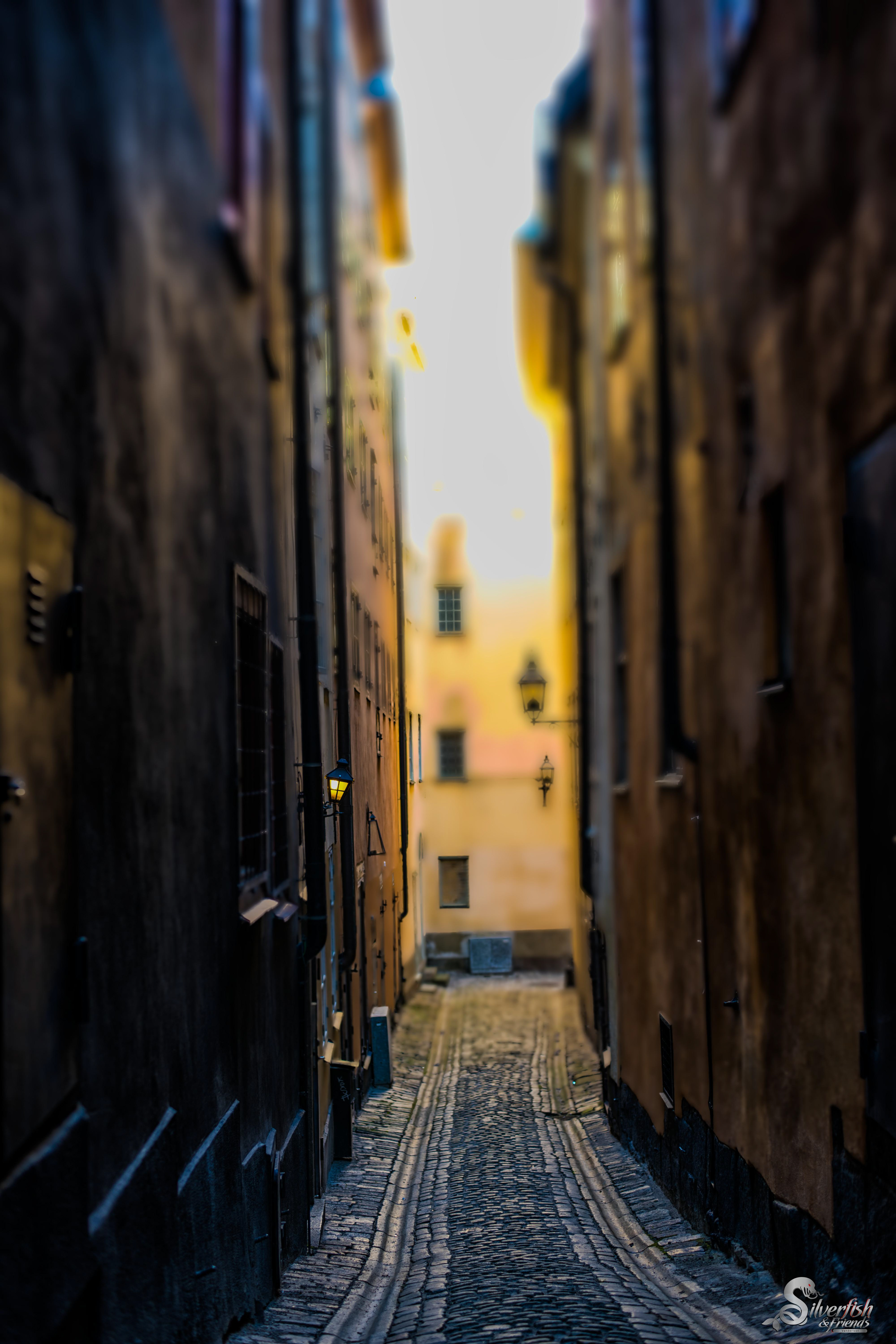 If you don't know where you are going, any road will get you there.