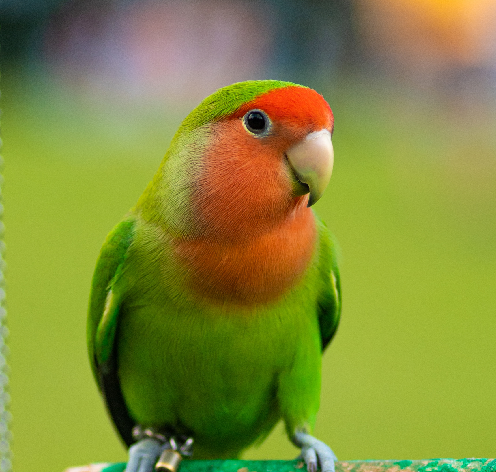 Its always nice to feel the weeknd @singapore eastcoast 