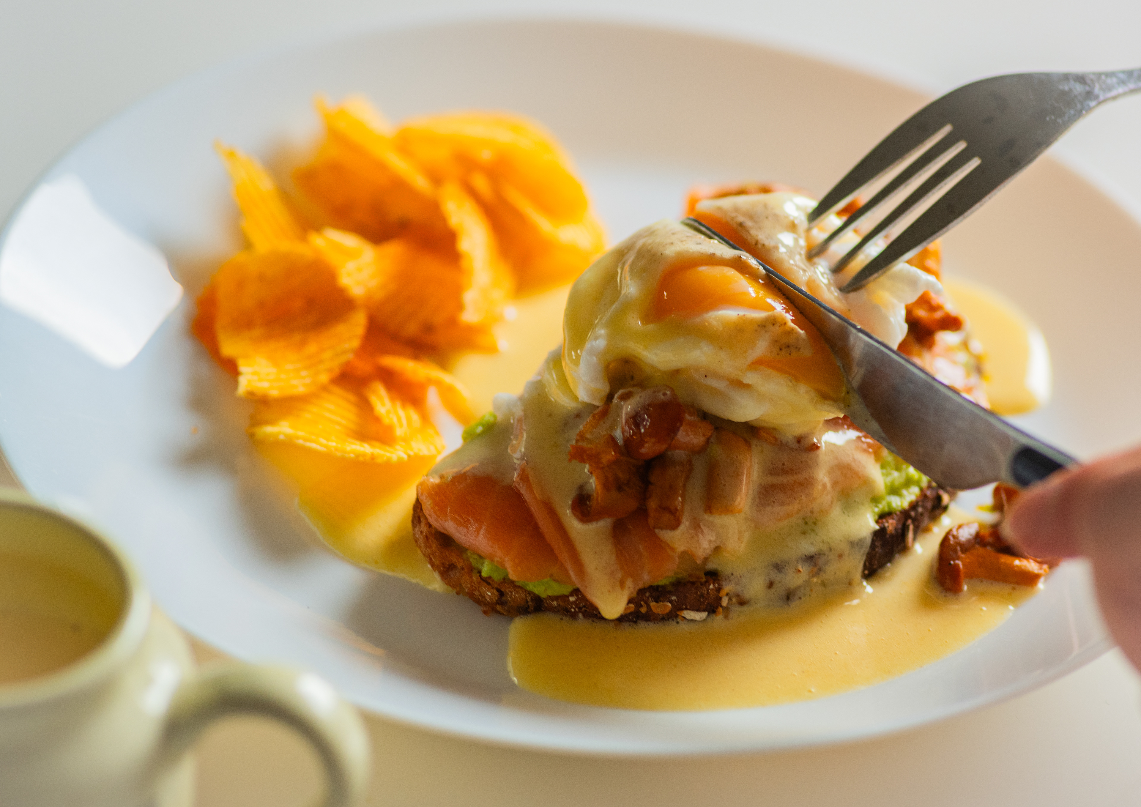 The Magic of Chanterelle
