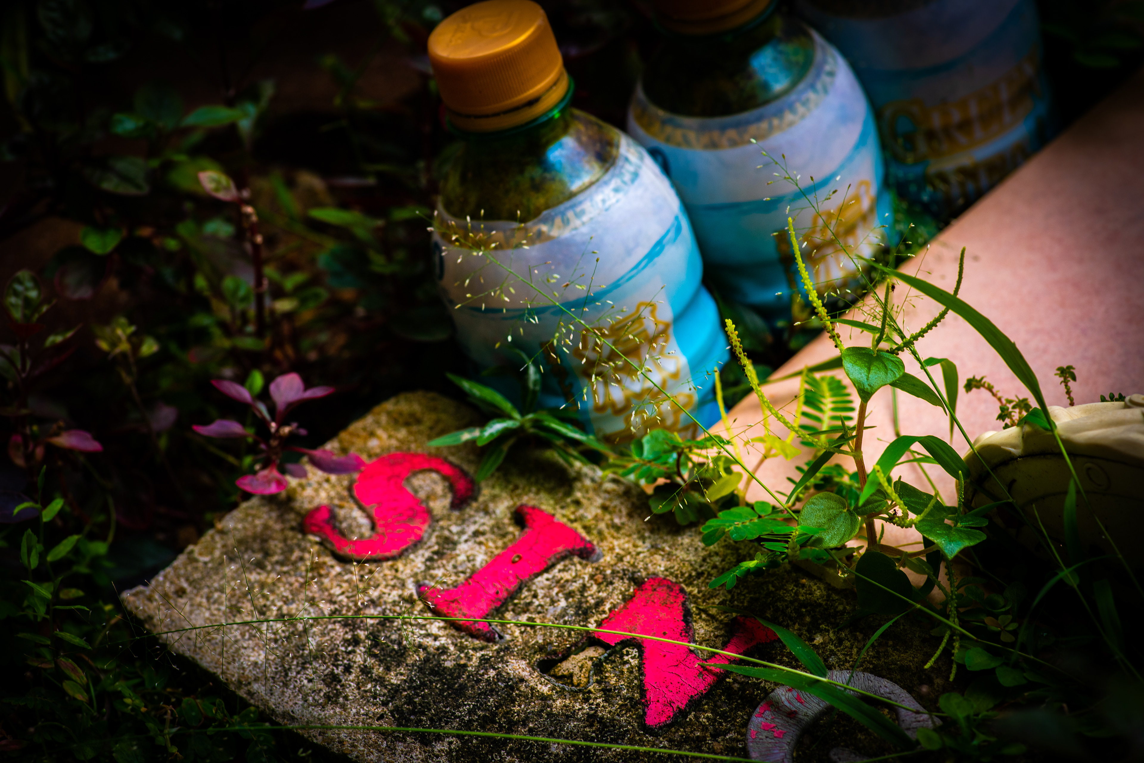 Singapore HDB garden