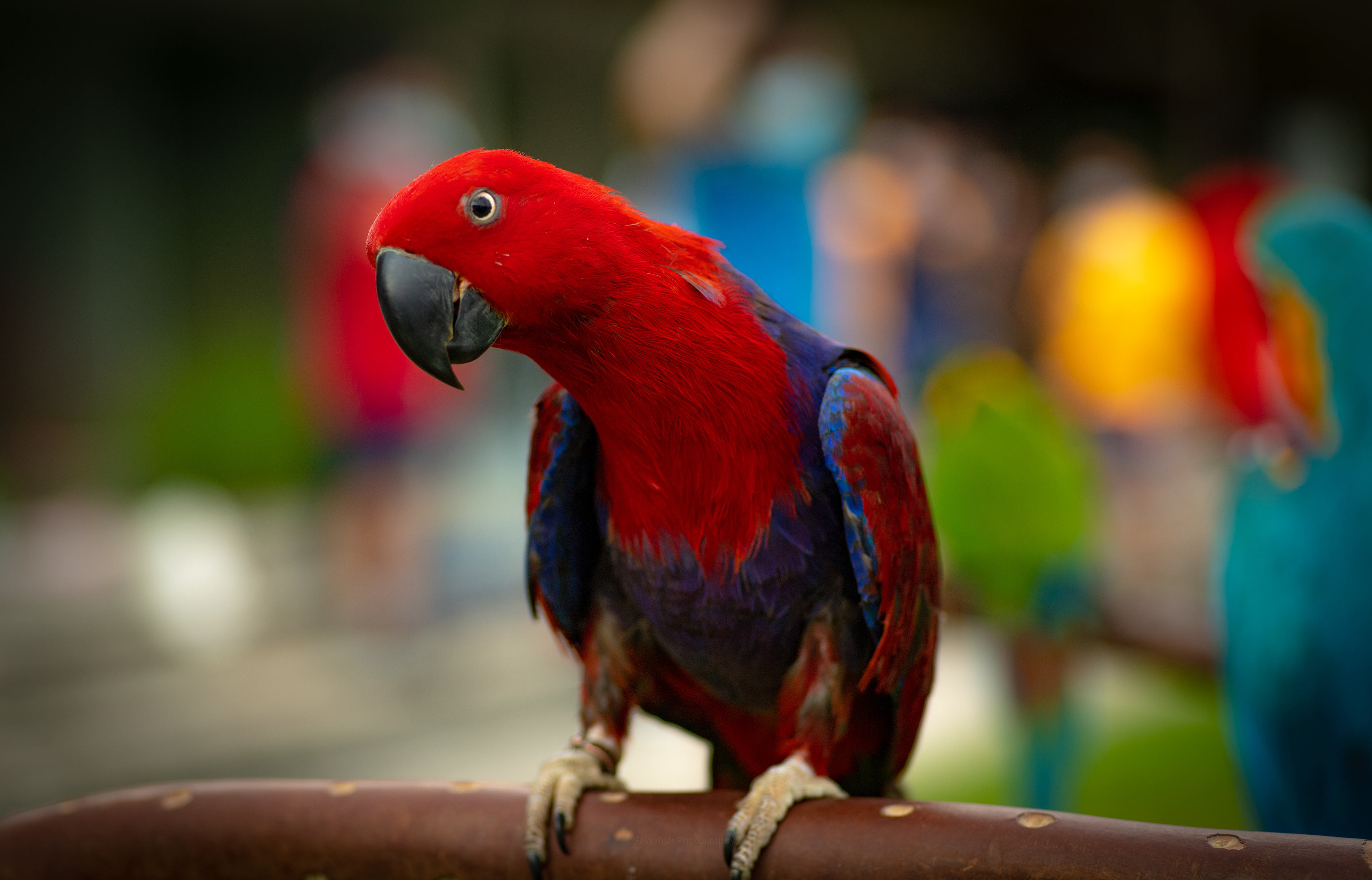 Happiness depends upon ourselves.