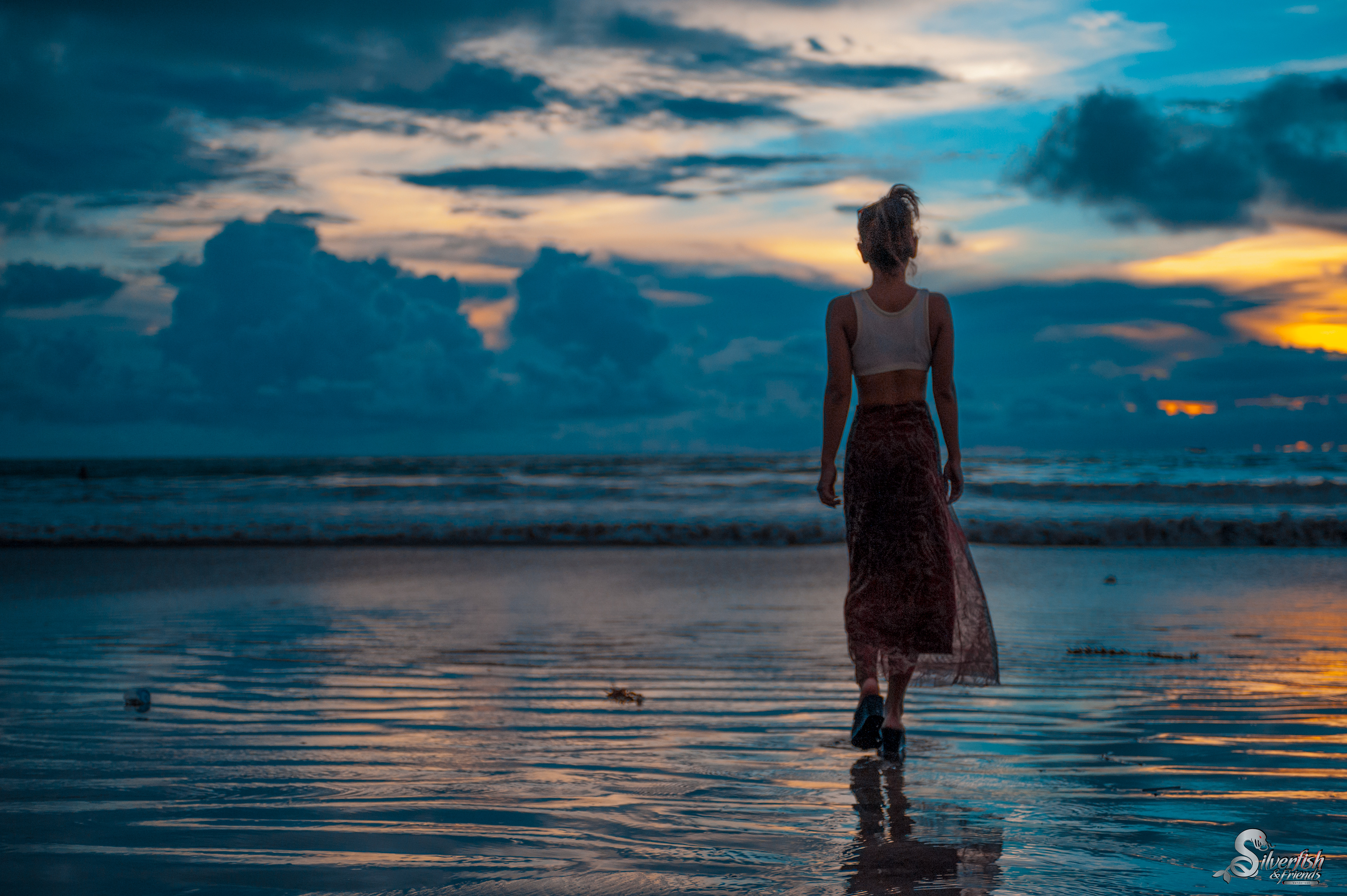 Shores of Bali