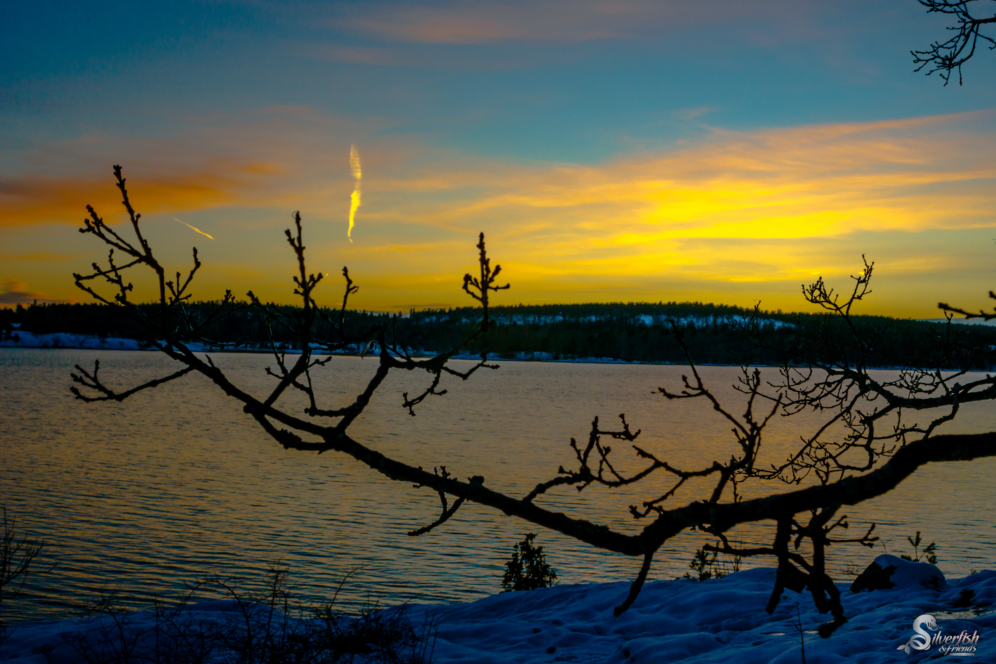 Cold Winter