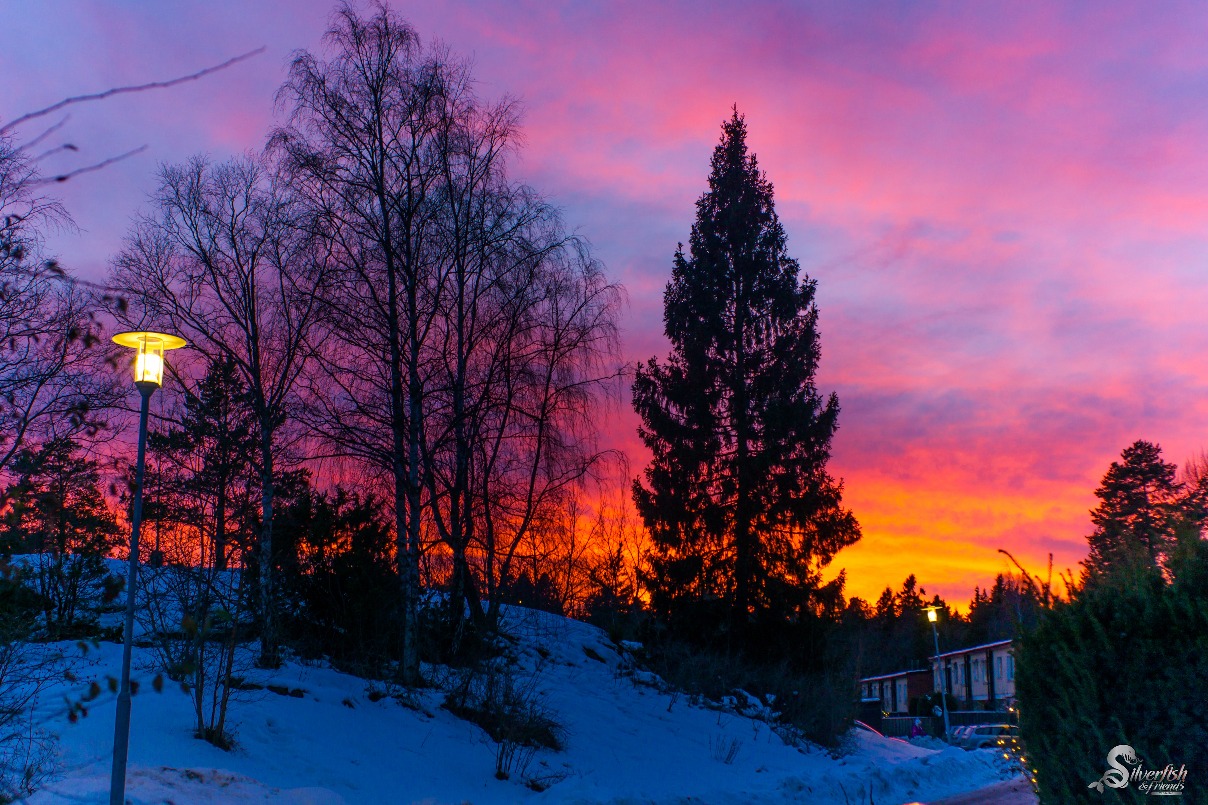 Evening is a time of real experimentation. You never want to look the same way.