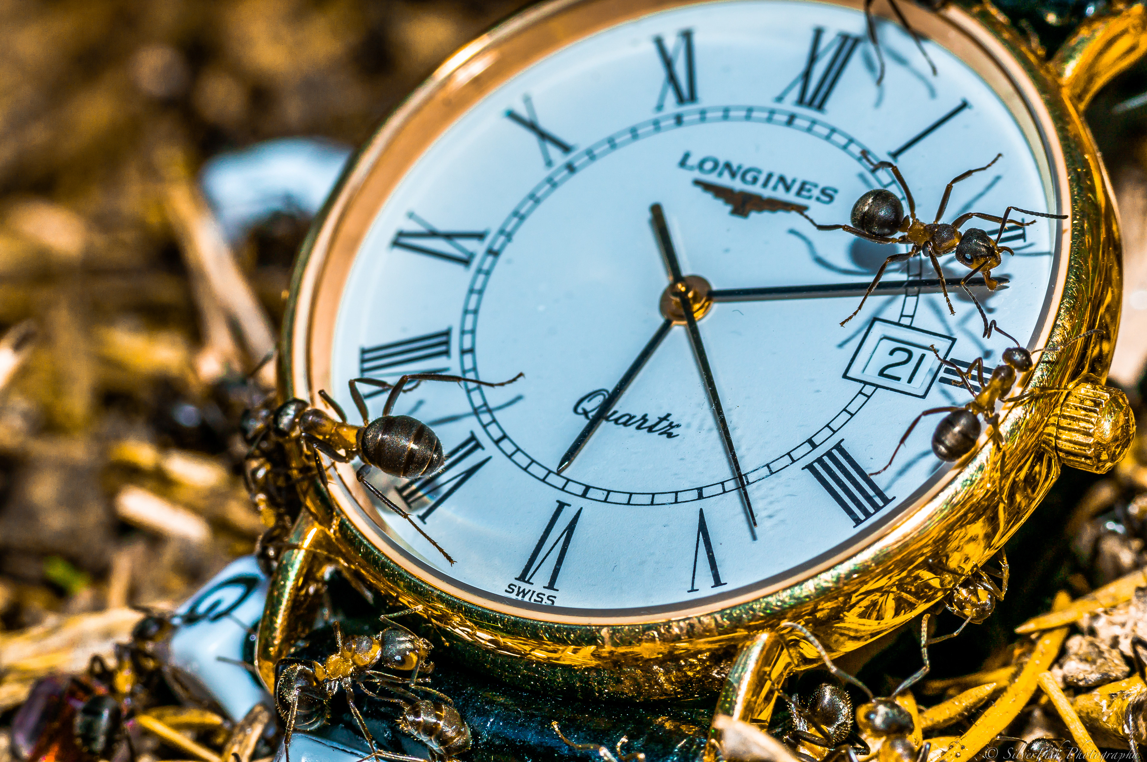 Longines Glass