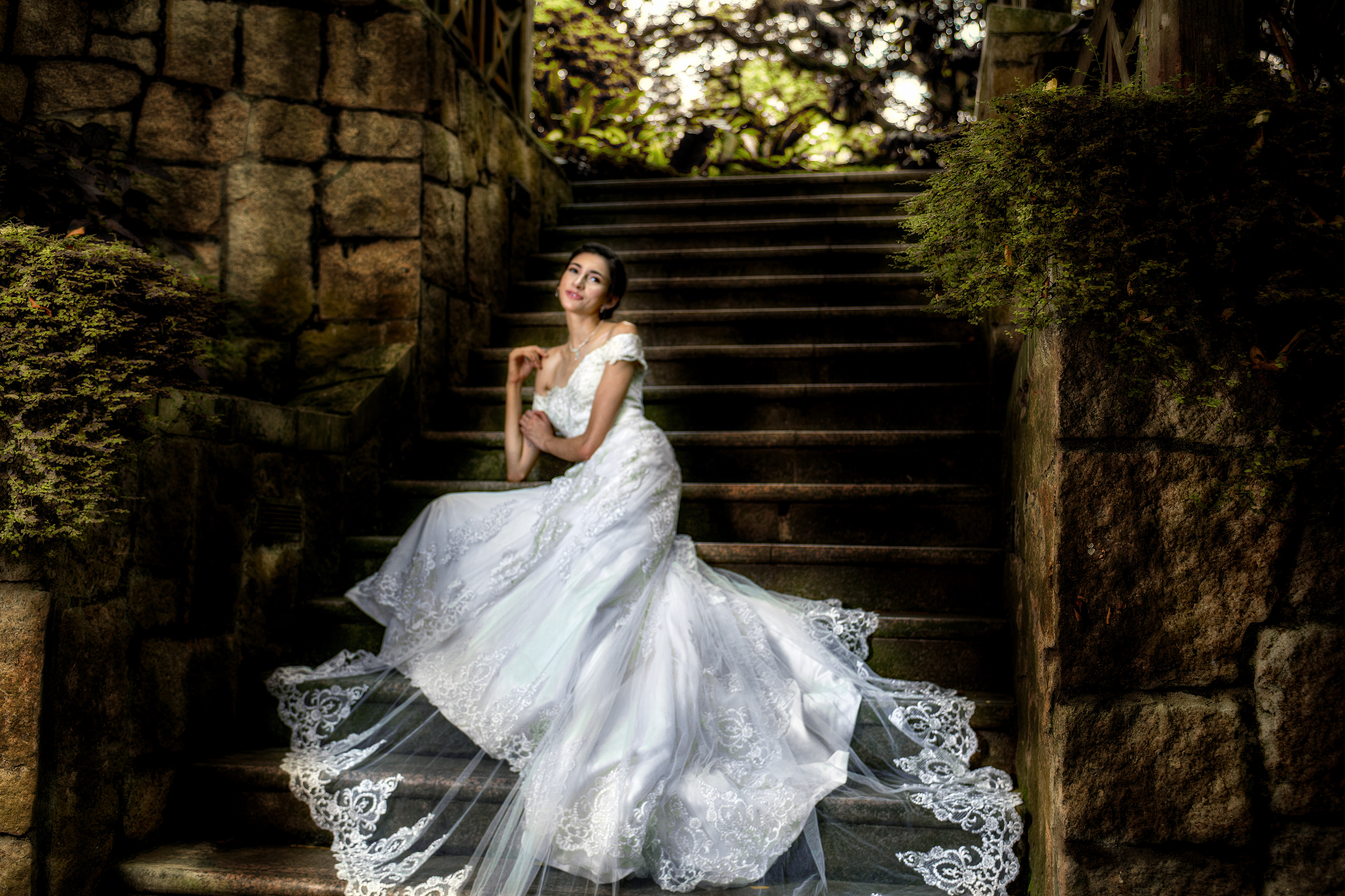 Singapore Botanical Gardens 