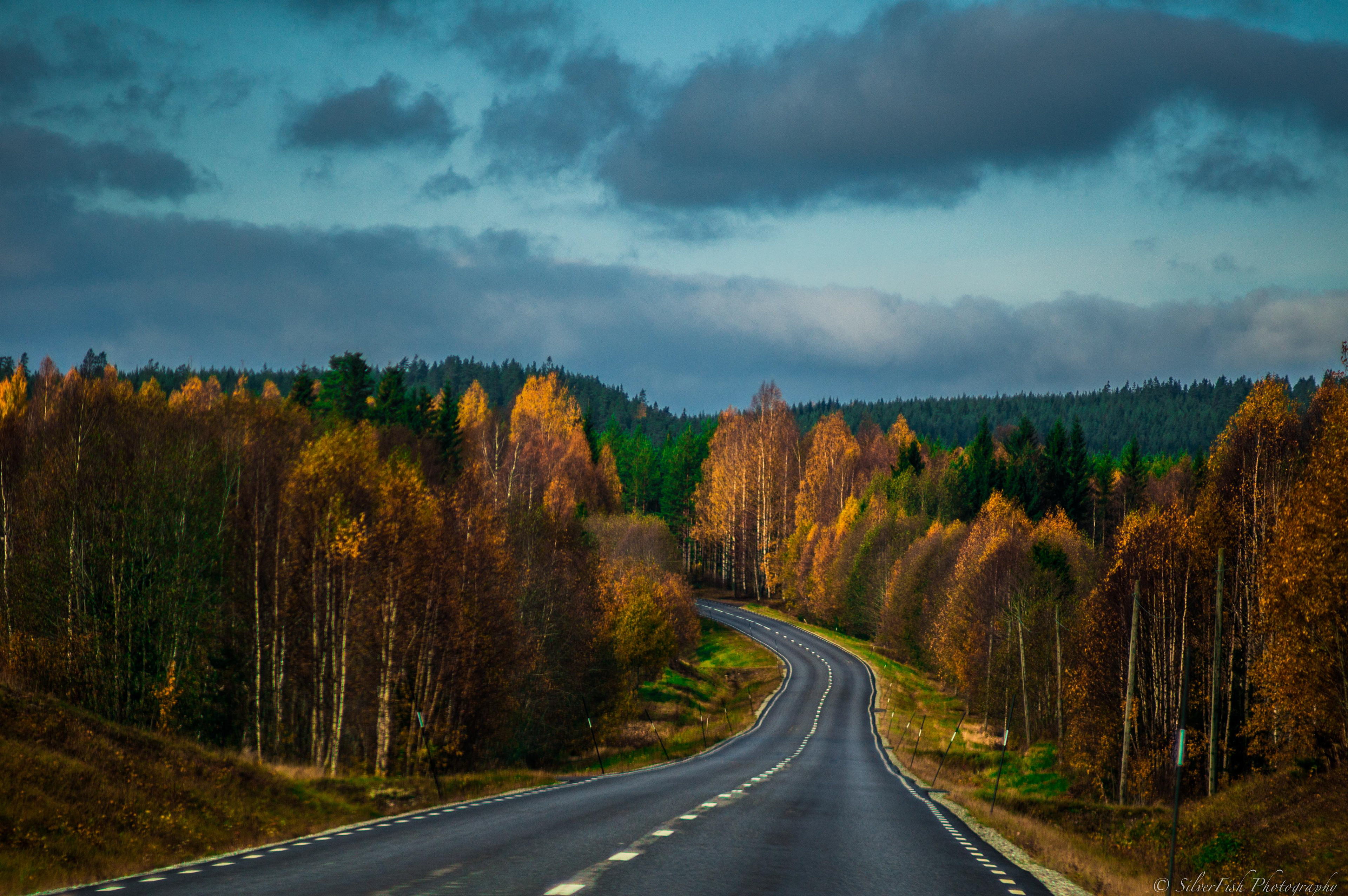 Autumn is a second spring when every leaf is a flower - Sweden