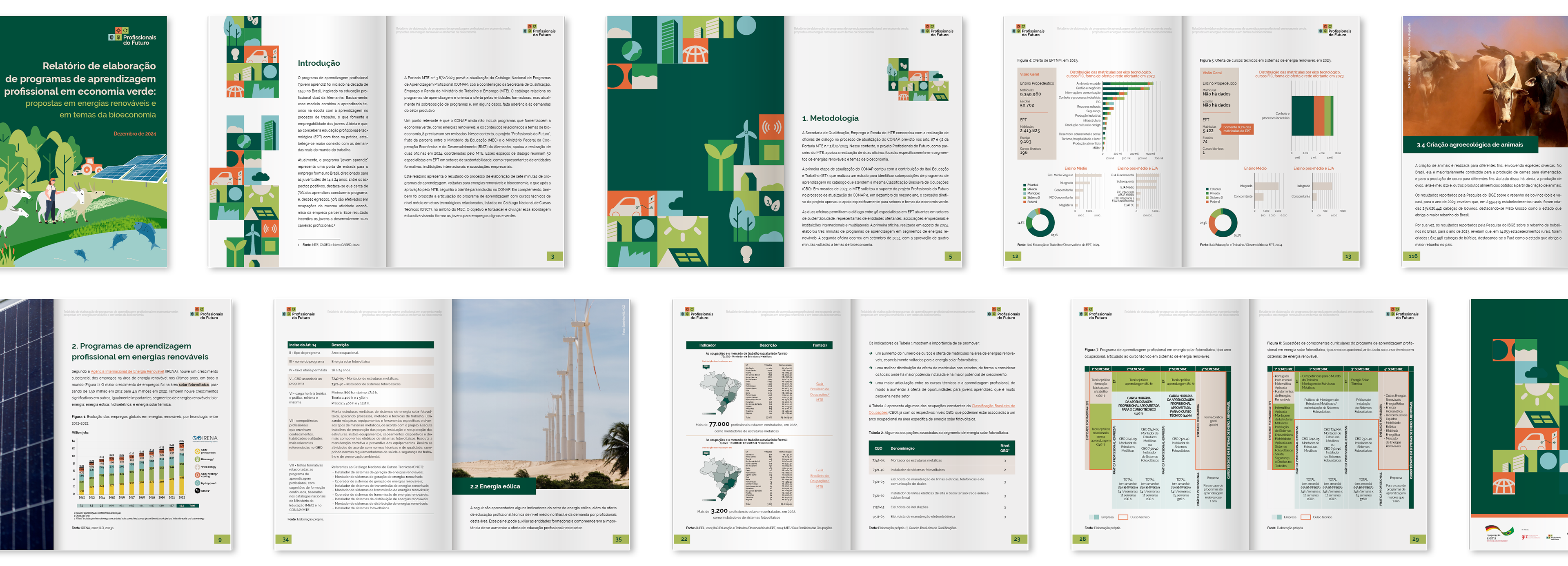 Relatório de elaboração de programas de aprendizagem profissional em economia verde: propostas em energias renováveis e em temas da bioeconomia Profissionais do Futuro / Ministério da Educação · GIZ Brasil · 2024 Projeto gráfico, diagramação e desenvolvimento de capa de publicação técnica (148 páginas), com elaboração de infográficos, organização de conteúdos e dados e aplicação e desdobramento da identidade visual do programa Profissionais do Futuro.